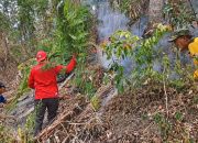 Sinergi Polri dan Tim Gabungan, Karhutla di Lereng Gunung Sidoe Berhasil Dipadamkan.