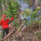 Sinergi Polri dan Tim Gabungan, Karhutla di Lereng Gunung Sidoe Berhasil Dipadamkan.